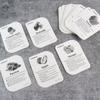 KidKraft Early Learner Educational Flashcards – 32 Birds