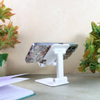 Adjustable Foldable Desktop Mobile Stand - (1 Pc)