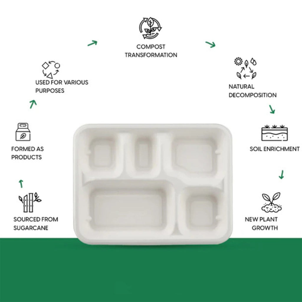 5-Compartment Rectangle Lunch Compostable Bagasse Plate – 10 Pcs Pack