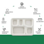 5-Compartment Rectangle Lunch Compostable Bagasse Plate – 10 Pcs Pack