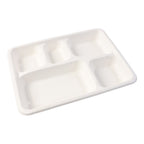 Disposable Serving Tray