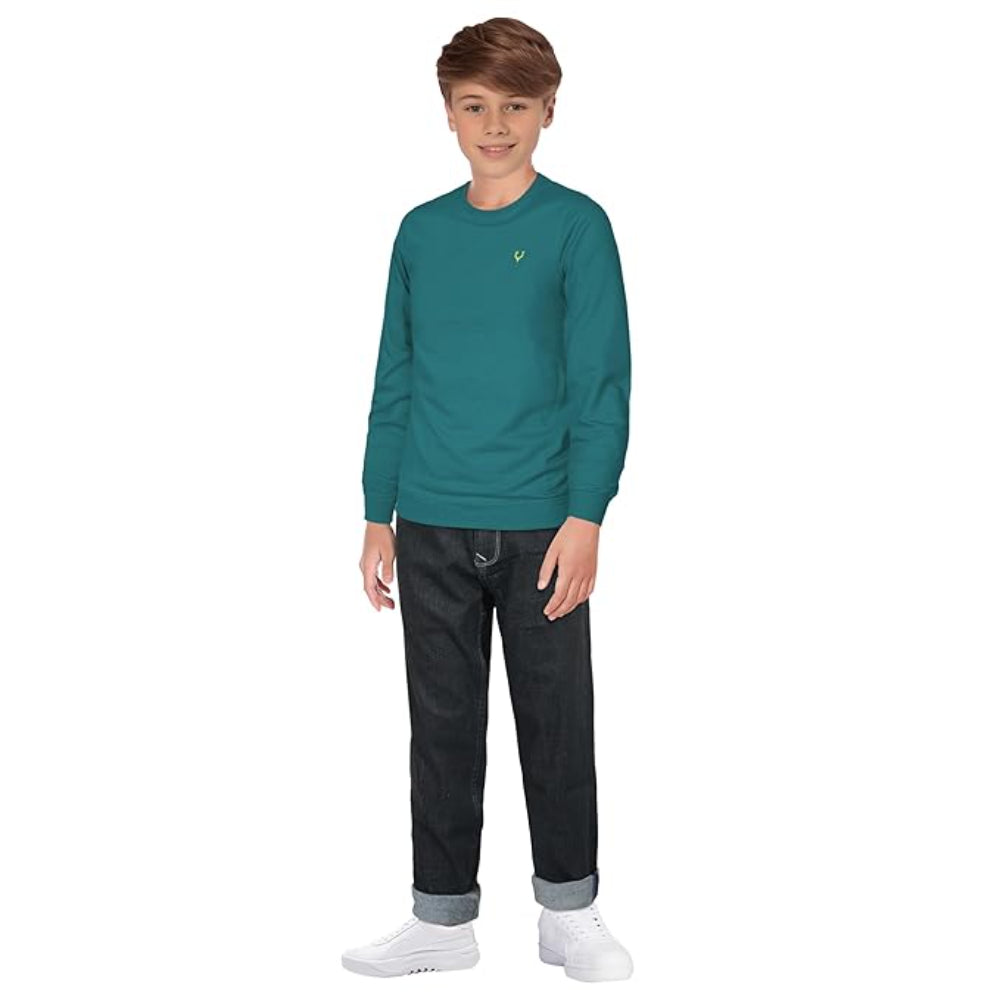 Boys Cotton Sky Blue Sweatshirt