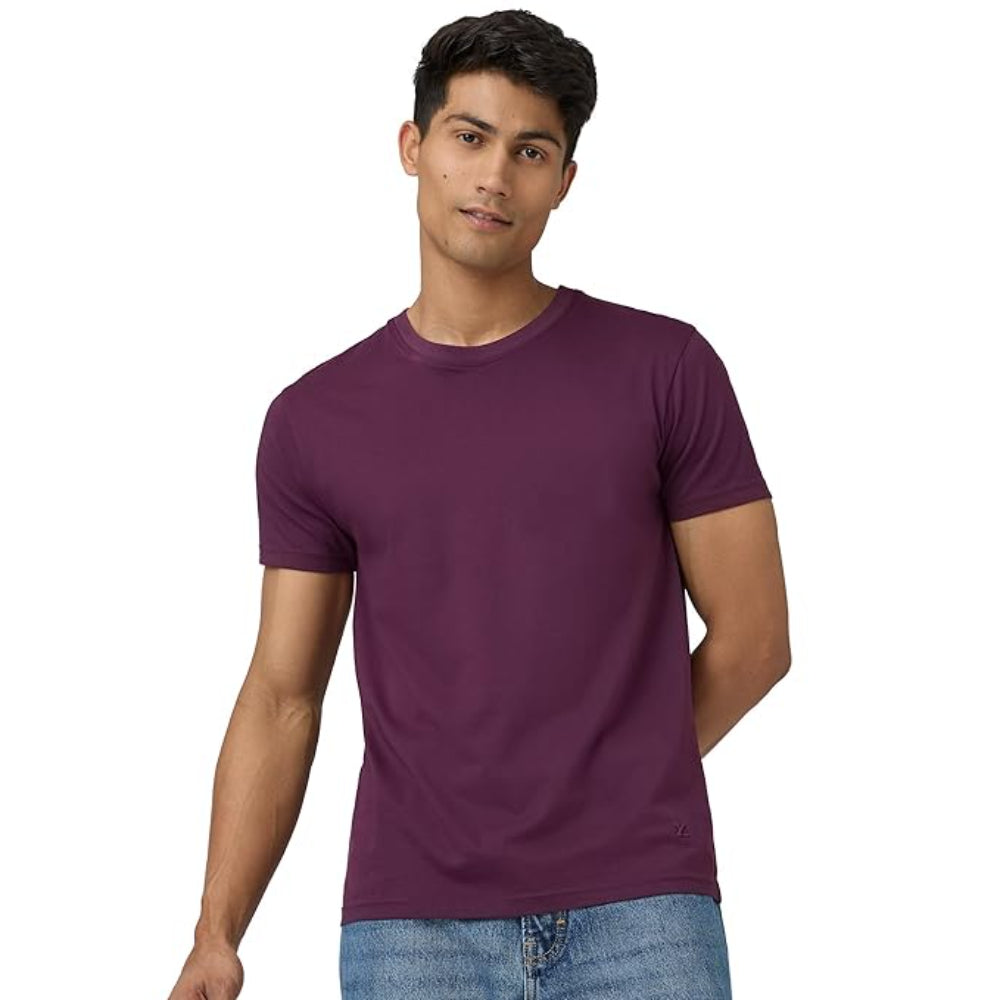 Men Regular Fit Plum Red T-Shirt